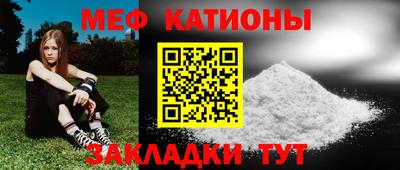шишки Заволжье