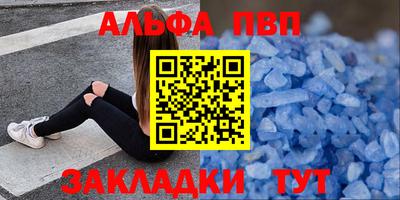 шишки Заволжье