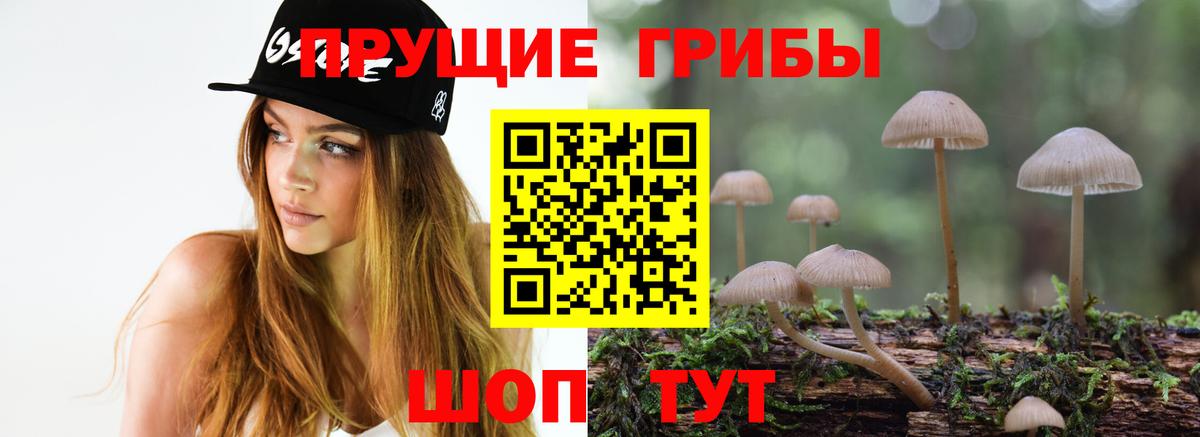 Галлюциногенные грибы GOLDEN TEACHER  Галлюциногенные грибы мицелий  Вход с VPN  Мичуринск 
